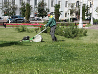 В Твери продолжаются работы по благоустройству 